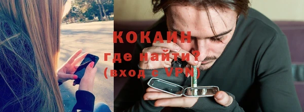 гашик Белокуриха