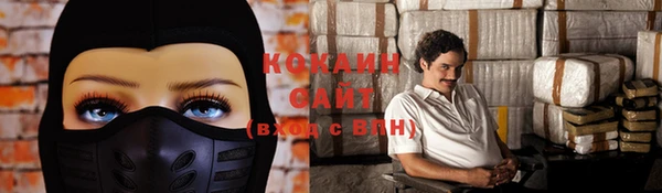 гашик Белокуриха