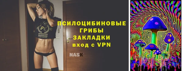 гашик Белокуриха